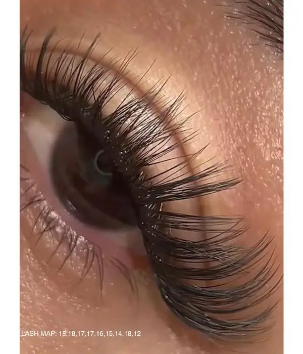 Crush on Myself Eyelash Clusters - 40D Individual Lash  Lightweight