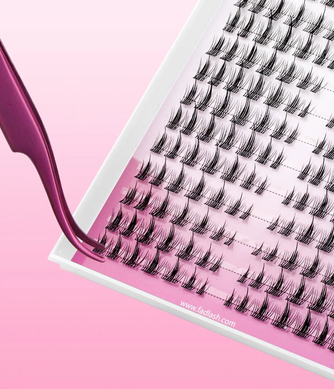 Selene Clear Band Lash Clusters Natural Looking